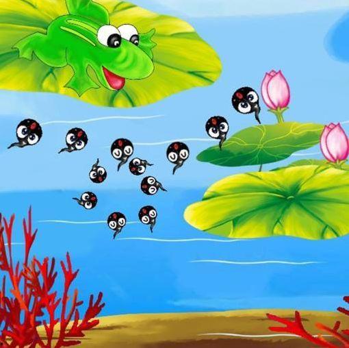 小蝌蚪找妈妈,寻找妈妈的温馨之旅