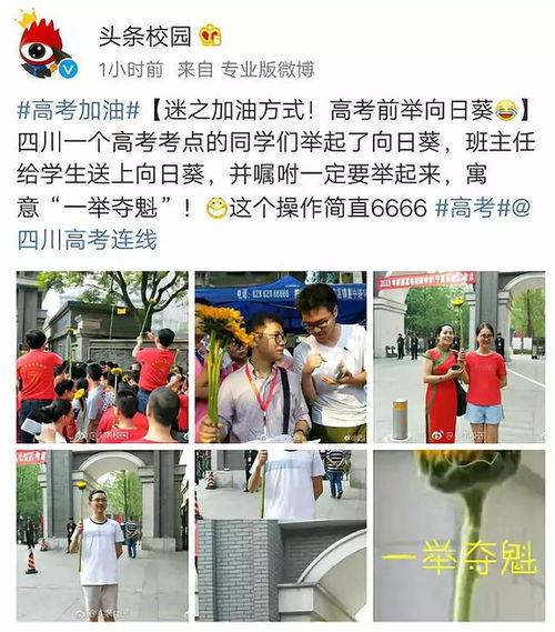 高考放榜之一举夺魁,一举夺魁，谱写青春辉煌篇章