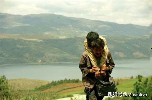 新落叶归根,探寻自然与生命的和谐共鸣